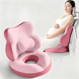 Back Support Seat